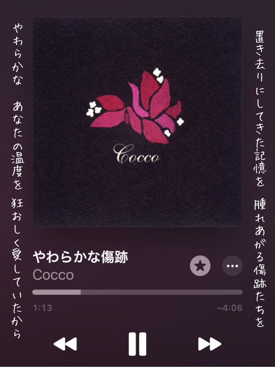 cocco - Search / X