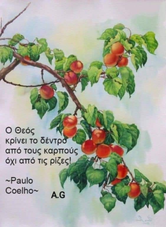 NASIA PAT (@patnasia) on Twitter photo 