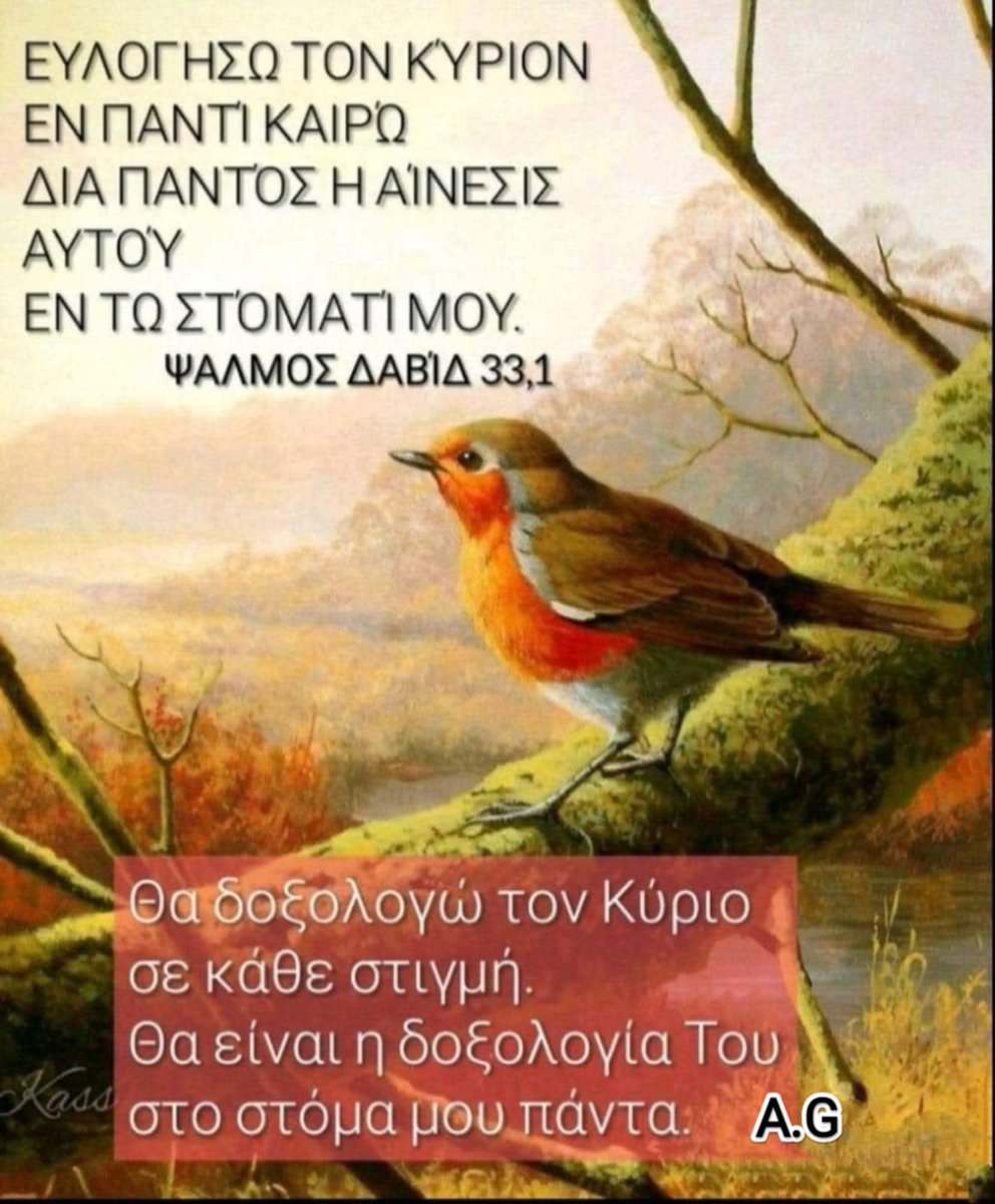 NASIA PAT (@patnasia) on Twitter photo 