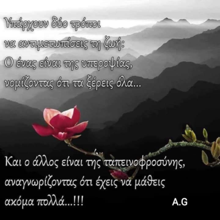 NASIA PAT (@patnasia) on Twitter photo 