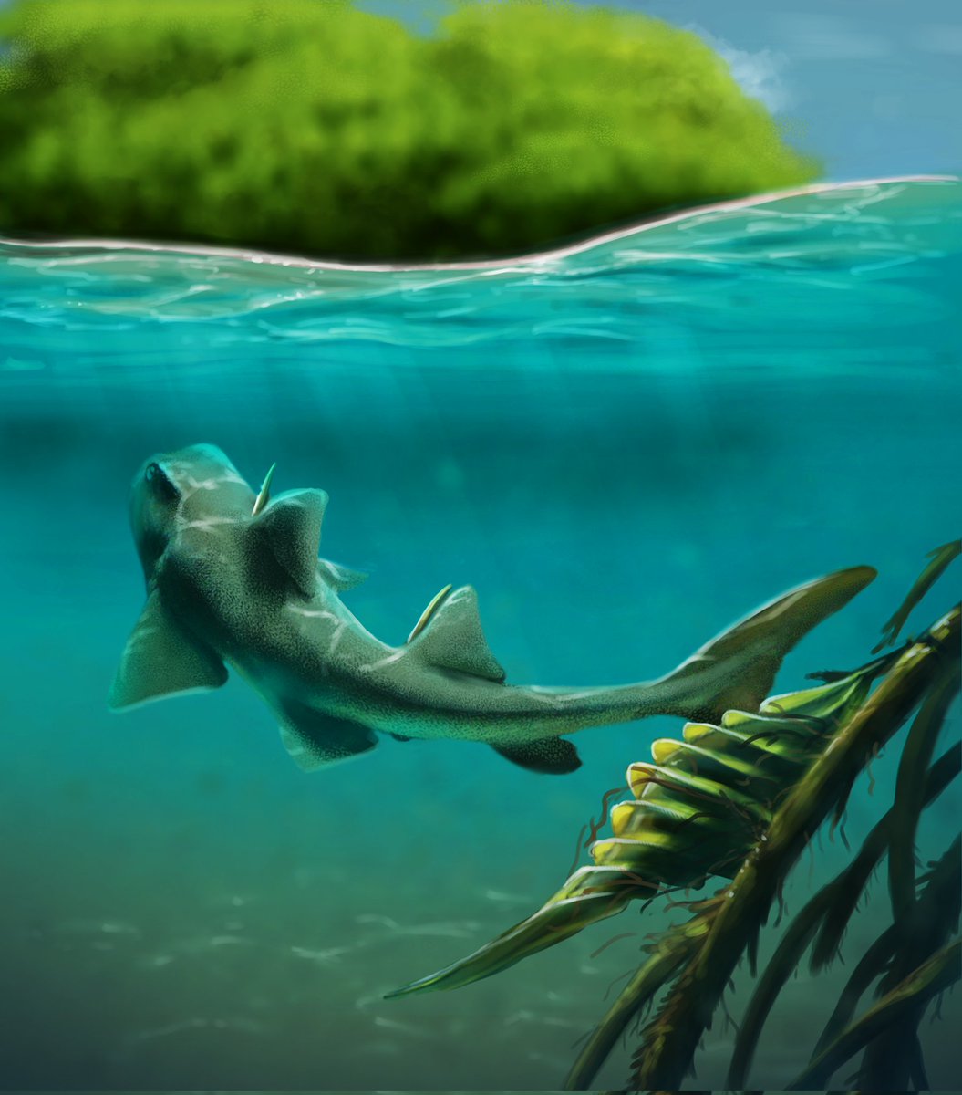 Ekhyl - Wildlife/Paleo Illustration tweet media