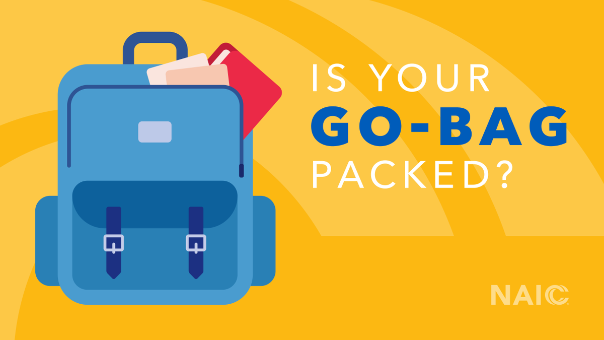 Storms move fast, so make sure you can too. A well-stocked emergency GoBag can make a big difference during a disaster. Here’s what to pack:  
content.naic.org/consumer/flood…