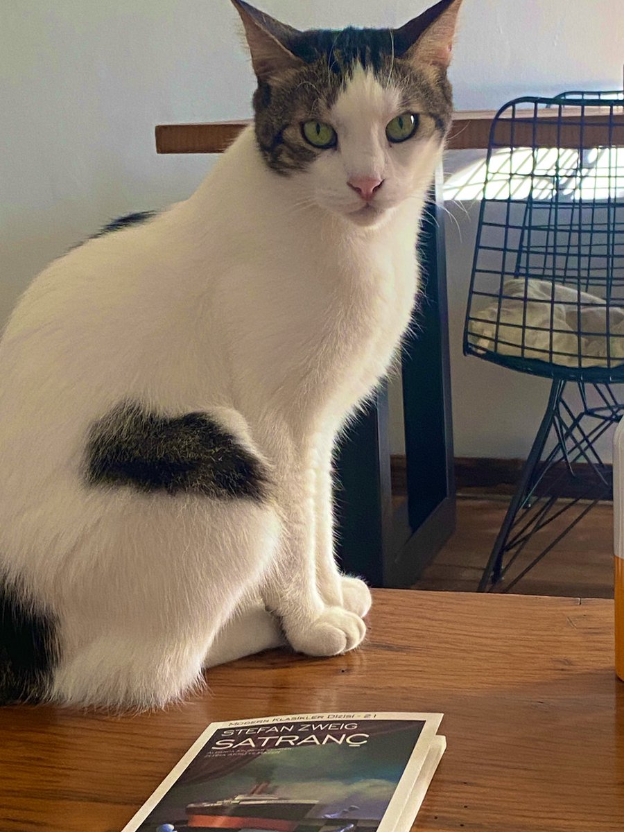 Gözlerinin hastasıyım oğlummm🩶