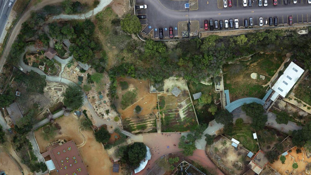 San Antonio Zoo proudly announces a generous gift from the Adam R. Scripps Foundation, bringing their total support for the Generation Zoo campaign to $335,000. This contribution supports Phase 1 improvements, including the zoo’s new entrance (opened December 2023), The Ralston