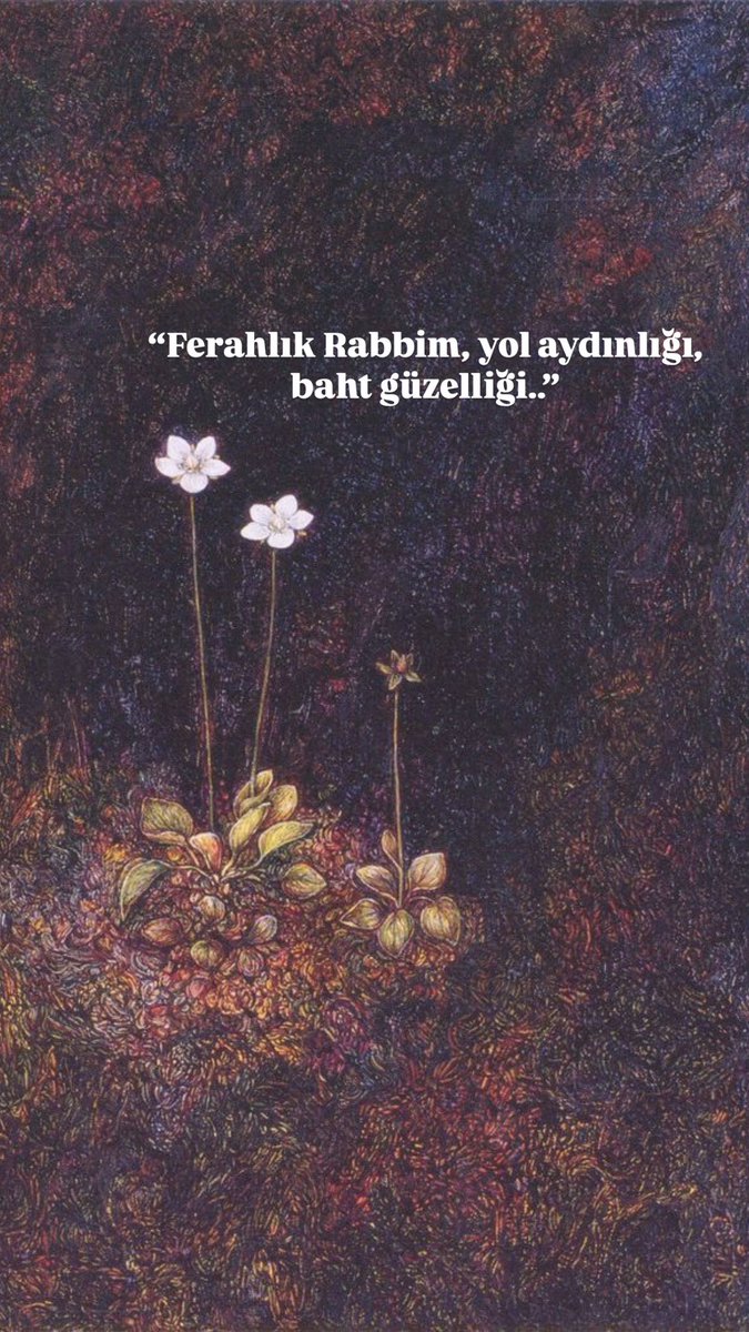 𝔞𝔩𝔟𝔞𝔩𝔦𝔞 (@birmahzunn) on Twitter photo 