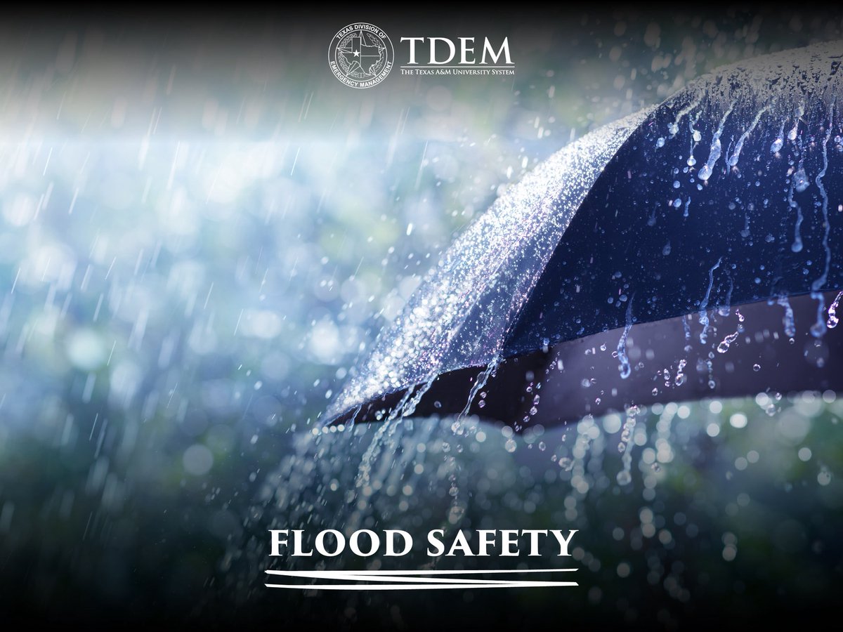 TDEM's tweet photo. Flooding is likely in various parts of Texas this week.

Be prepared before the floodwaters rise! 🌧️

Know your risk, sign up for alerts, protect important documents, and have a plan for your family— pets too!🐾💼🚨

Learn More: https://t.co/jHdVTUYJMA

#txwx https://t.co/RviF7idxhJ
