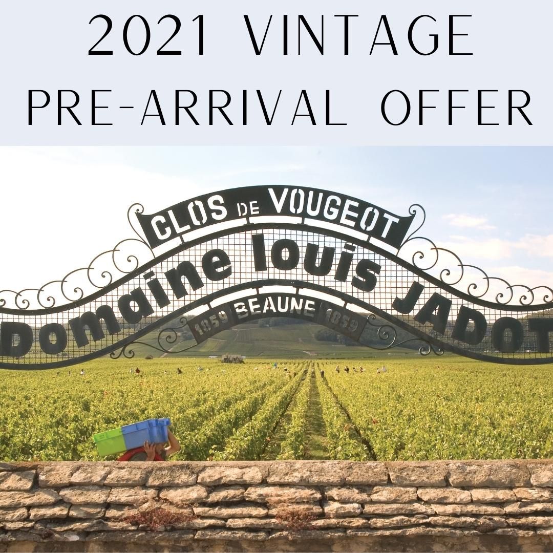 Pre-Arrival Faiveley '23s: Seductive &amp; Balanced - mailchi.mp/bermansfinewin…