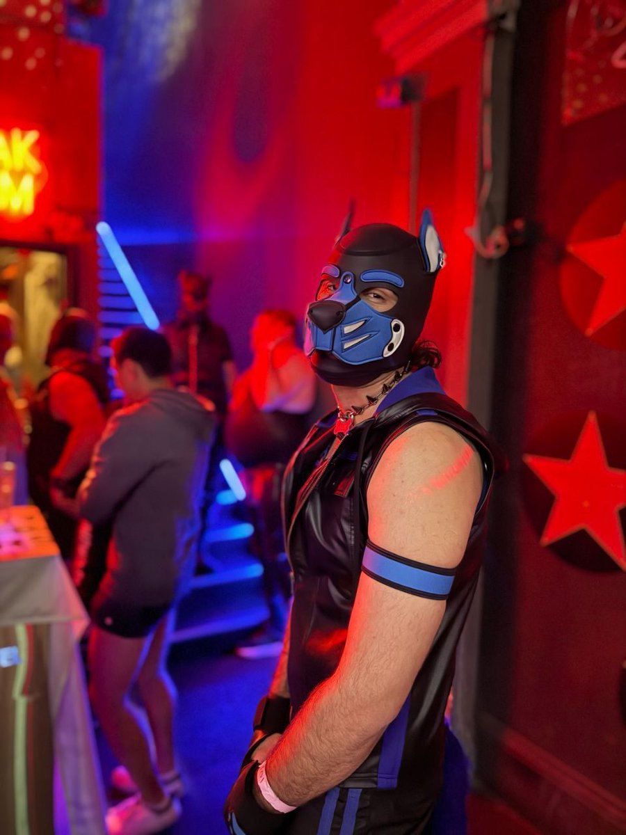 Pup Vuk out and proud🐾🏳️‍🌈celebrating Pride Month with the locals and embracing everything that makes us visible, vibrant, and free. Gear up, tails high, love louder💙🖤🐾

📸@pupvuk on X

#PuppyPlay #PupPlayAustralia #PrideMonth #BadPups #BadPupsModel #BadPupsPack
