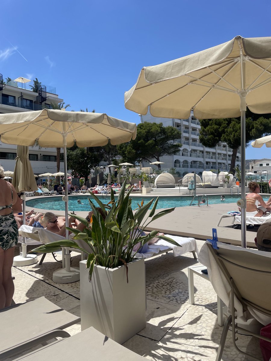 Phil Marsh tweet media