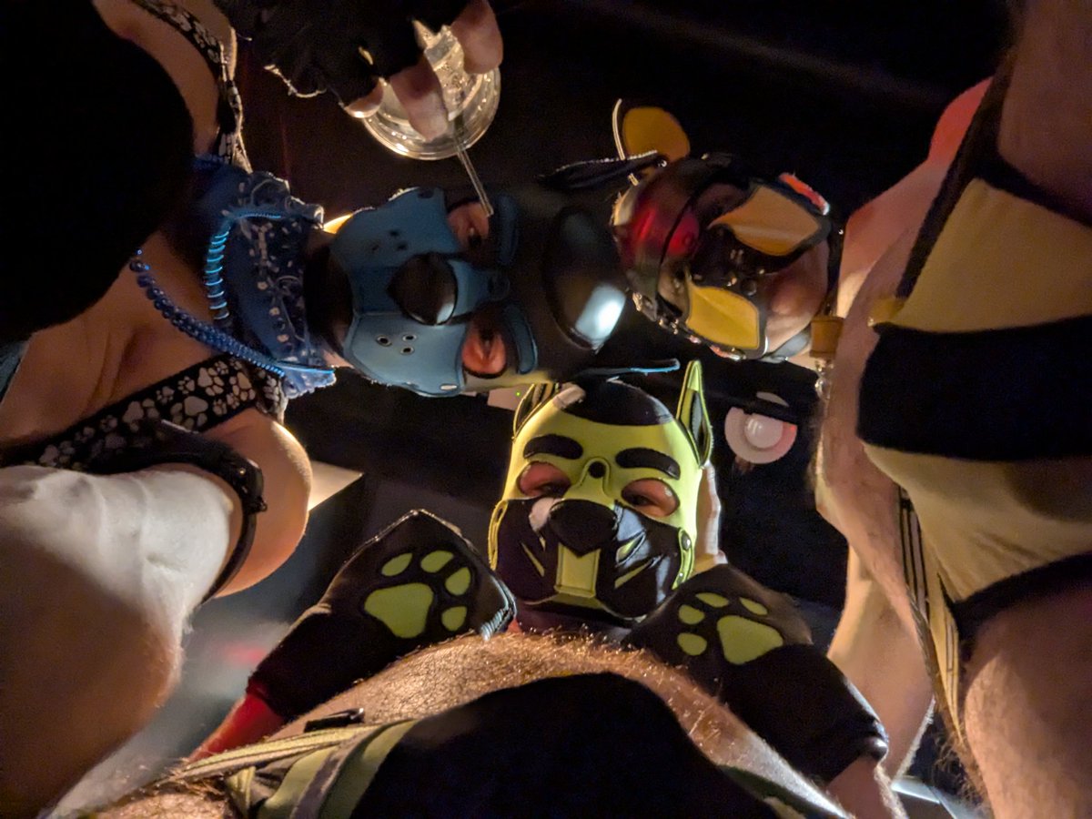 James Blond (@jamesblond_1) on Twitter photo My fav POV of DC's World Pride last weekend🐶🦴
<a href="/HungTXOtter/">HungTXOtter (Market Days/CHI 8/7-11)</a>
<a href="/PupVoltzy/">Pup Voltzy ⚡️🐾</a> My fav POV of DC's World Pride last weekend🐶🦴
<a href="/HungTXOtter/">HungTXOtter (Market Days/CHI 8/7-11)</a>
<a href="/PupVoltzy/">Pup Voltzy ⚡️🐾</a>