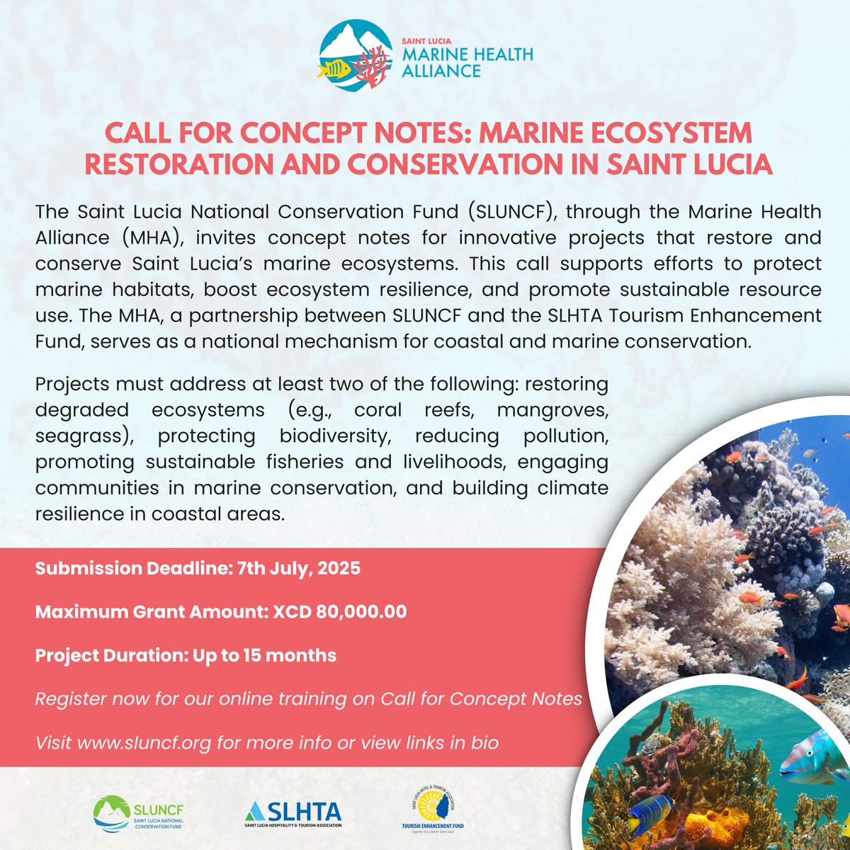 🌊 Call for Concept Notes
SLUNCF invites proposals for Marine Ecosystem Restoration &amp; Conservation in Saint Lucia under the Marine Health Alliance (MHA) Sub-Grants Programme!
Apply by July 7, 2025.
🔗 sluncf.org
#SaintLucia #MarineConservation #SLUNCF