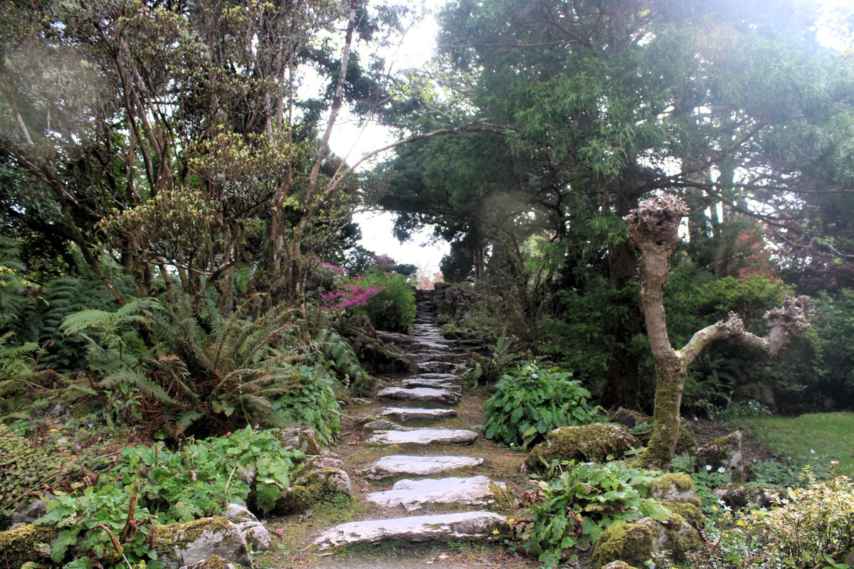 DestinationKillarney (@dkillarney) on Twitter photo A walk around Muckross Gardens is a favourite activity for locals and visitors alike when they come to Killarney ๐ท
Learn all about Muckross & other Killarney attractions at destinationkillarney.ie
#LoveKillarney A walk around Muckross Gardens is a favourite activity for locals and visitors alike when they come to Killarney ๐ท
Learn all about Muckross & other Killarney attractions at destinationkillarney.ie
#LoveKillarney