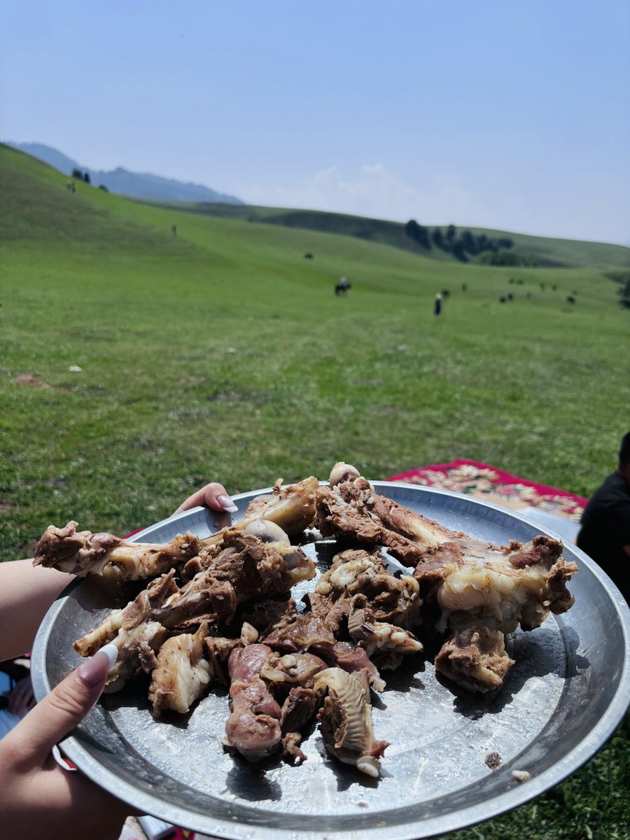 Life on the grasslands.