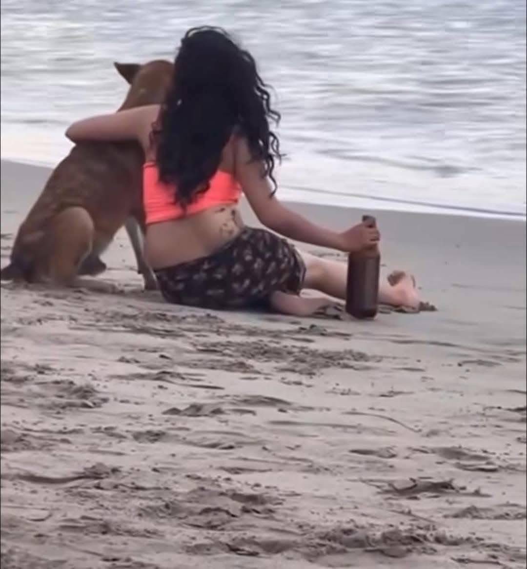 DiloConPerritos's tweet photo. *Físicamente en el trabajo*

Mentalmente aquí: https://t.co/QKoEPMSSwu