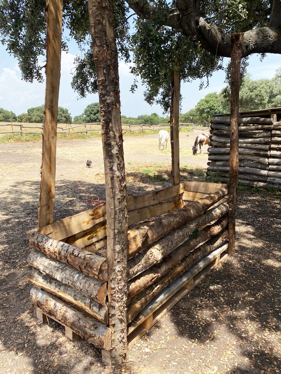 🐴 Compartimos una mañana mejorando el entorno de los caballos de Asociación ABAQVR, que hace posible las terapias equinas dirigidas a niños y niñas con discapacidad o dificultades en el desarrollo.
atresmediacorporacion.com/sostenibilidad…