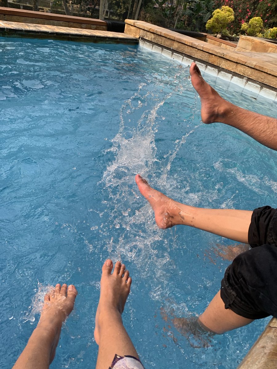 cl_eodash's tweet image. 