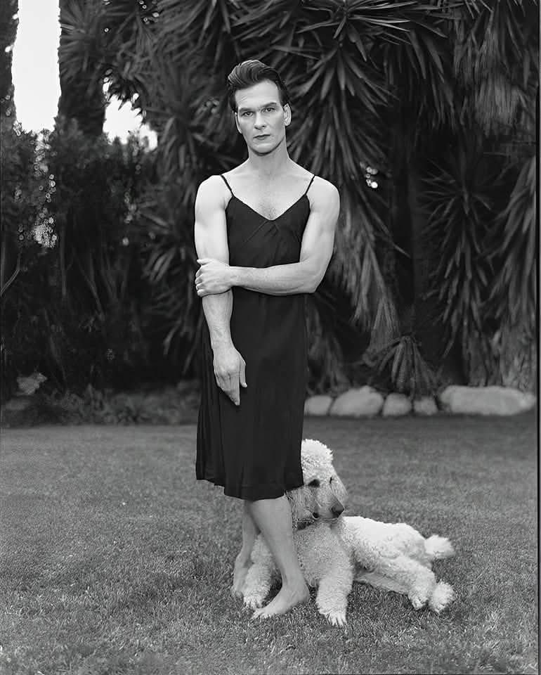 MAVERICK X tweet media