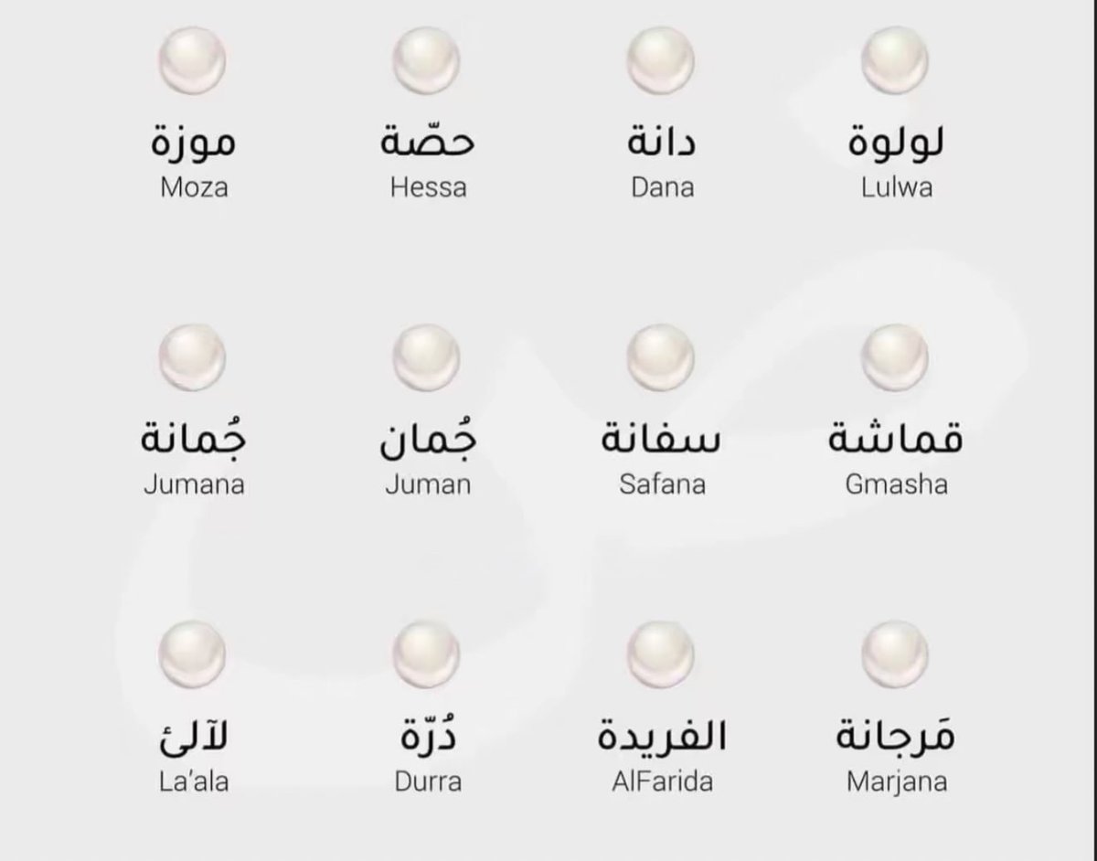 SAUDI POPULAR tweet media