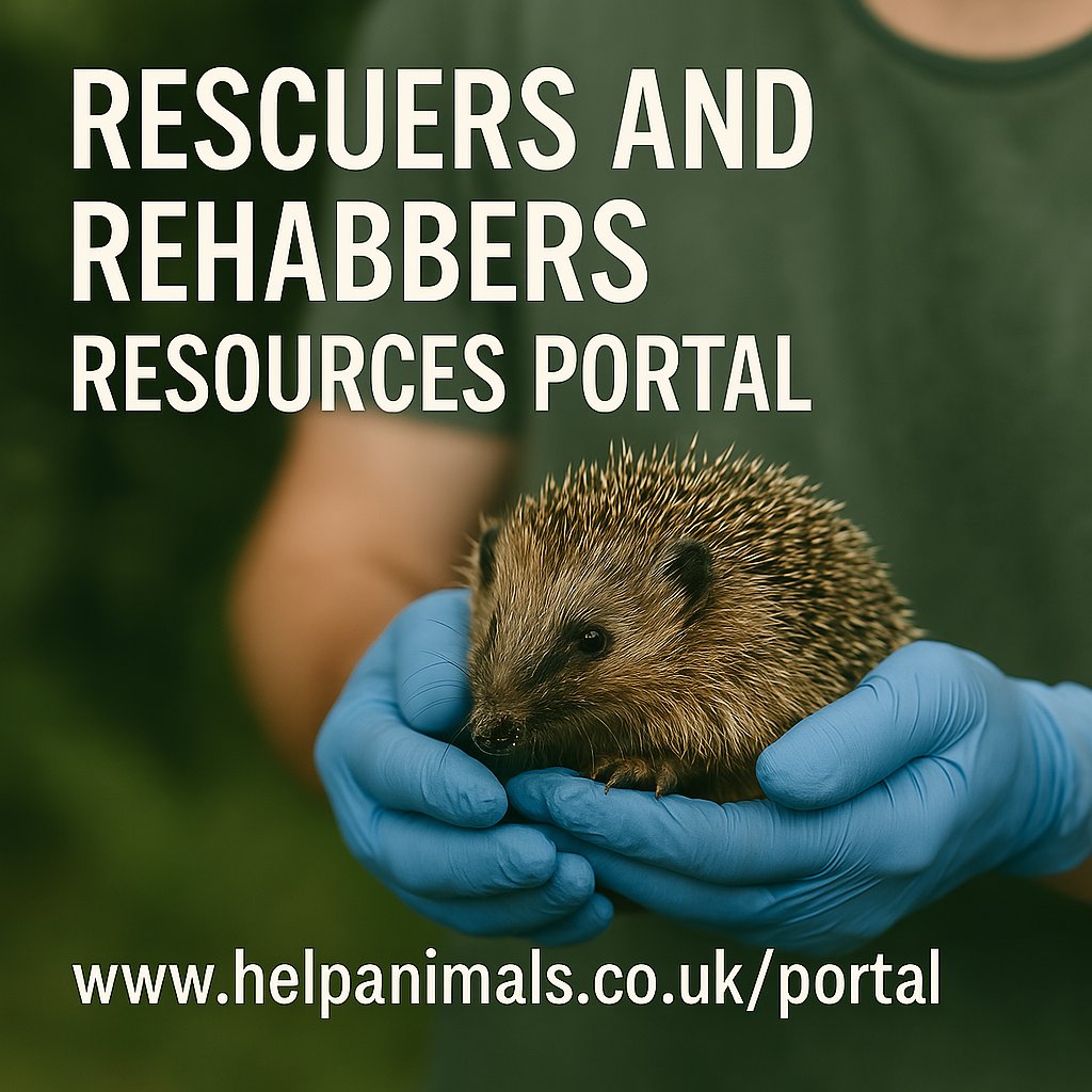 HelpAnimals25's tweet image. Passionate  about animal welfare?🐾  

The *Rescuers and Rehabbers Resources Portal* is packed with essential tools, templates, &amp;amp; guides to help you.

Take a look and make your life easier!  

📲 Explore now: helpanimals.co.uk/portal
#AnimalWelfare #RescueAndRehab #HelpAnimalsuk