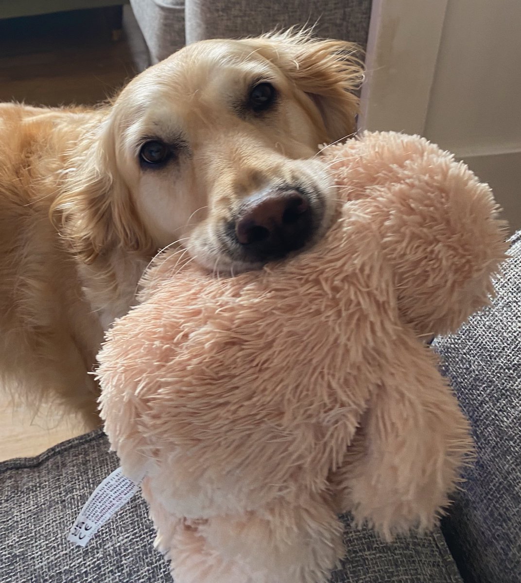 Just wanted to keep people updated in one place! my comms are going to be a little slower as my health isn’t doing so well atm. I’m sorry for any inconvenience but I promise I haven’t forgotten you 🩵