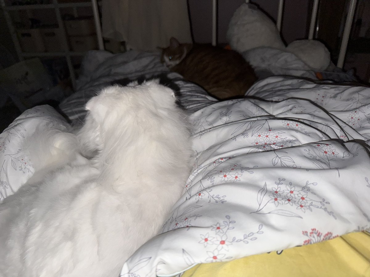 고영둘과 함게 취침,