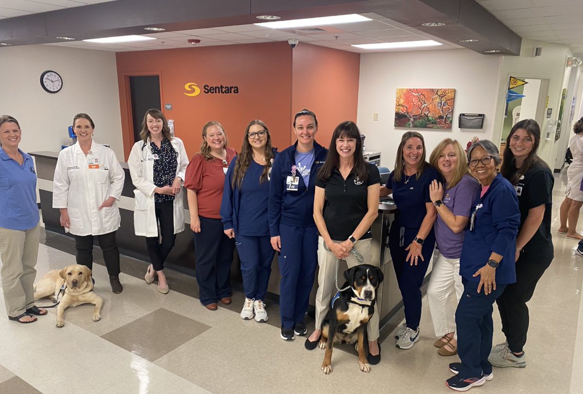 sentarahealth's tweet photo. 8 service dogs + 1 realistic hospital setting = 1 powerful training.
Mutts with a Mission teamed up with Sentara to prep pups for life with veterans. ๐พ๐
#MuttsWithAMission #ServiceDogs #Veteran https://t.co/oYcie58OxX