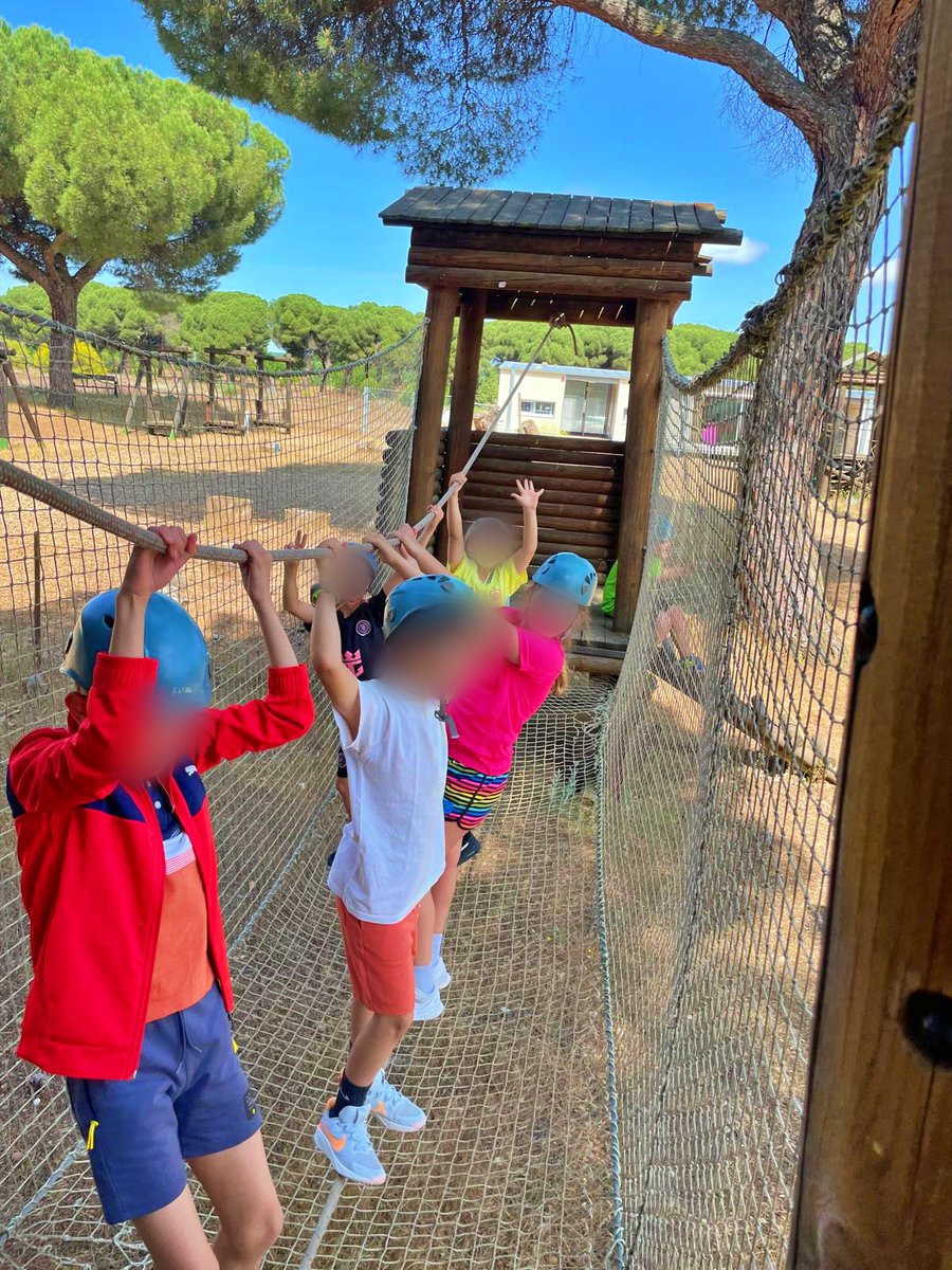 COLEGIOPEDROI's tweet image. 🌲 ¡Día de aventura en el Pinar de Antequera!
Nuestros alumnos de 3º de primaria disfrutaron de tirolina, rappel, tiro con arco y mucha diversión al aire libre.
¡Una experiencia inolvidable llena de risas y compañerismo! 🏹🧗‍♀️🌞
#ExcursiónEscolar #PinarDeAntequera #3ºPrimaria