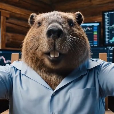 BuckBeaverDev's tweet image. you vs the guy she tells you not to worry about 

$BUCK