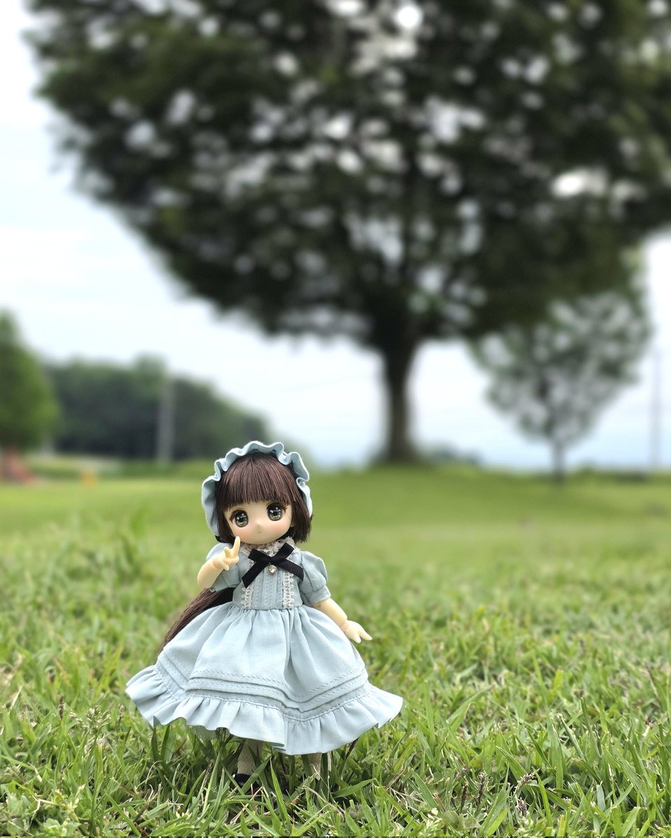 𓂃𓂂𖡼.𖤣𖥧𓈒◌
お散歩楽しいね