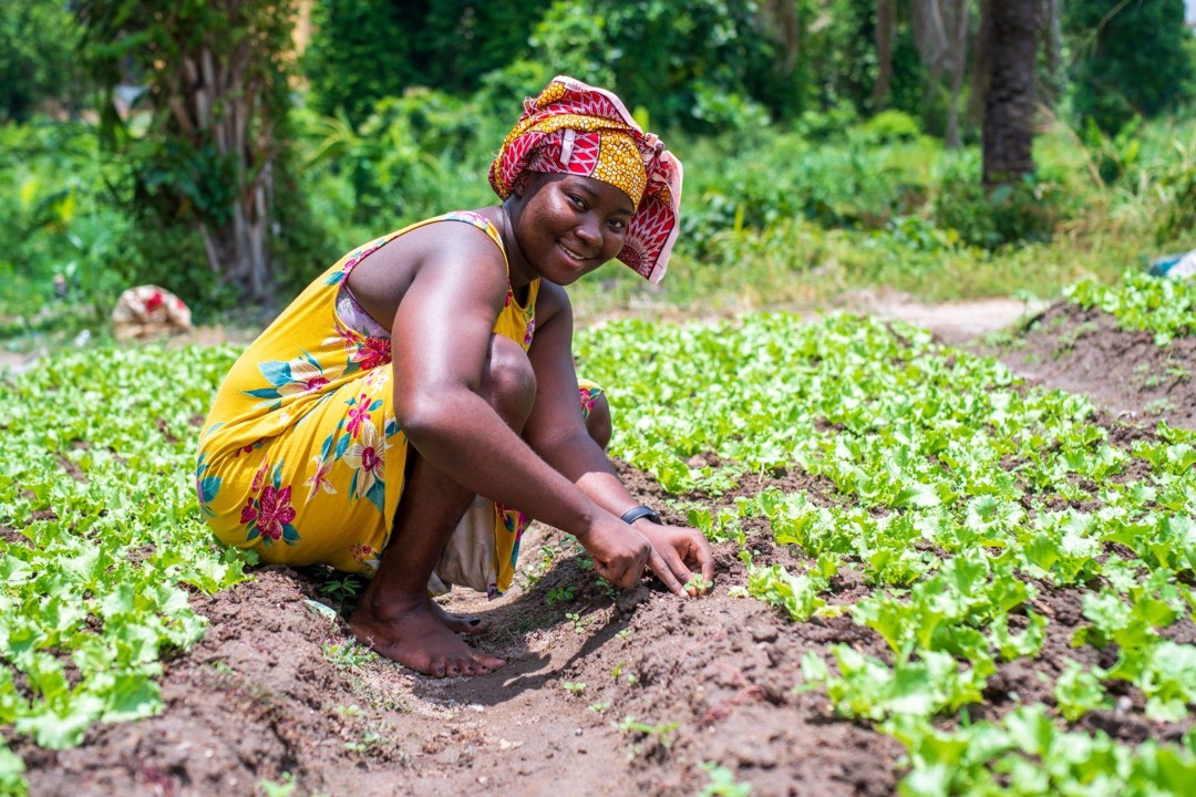 Not all concessional #finance tools deliver the same impact. Which approaches actually attract investment into #agroclimate services? Join our webinar 𝐭𝐨𝐦𝐨𝐫𝐫𝐨𝐰 𝐚𝐭 𝟐 𝐩.𝐦. 𝐄𝐀𝐓 to find out. Register here 👉 tinyurl.com/3apnjewr

#ClimateResilience