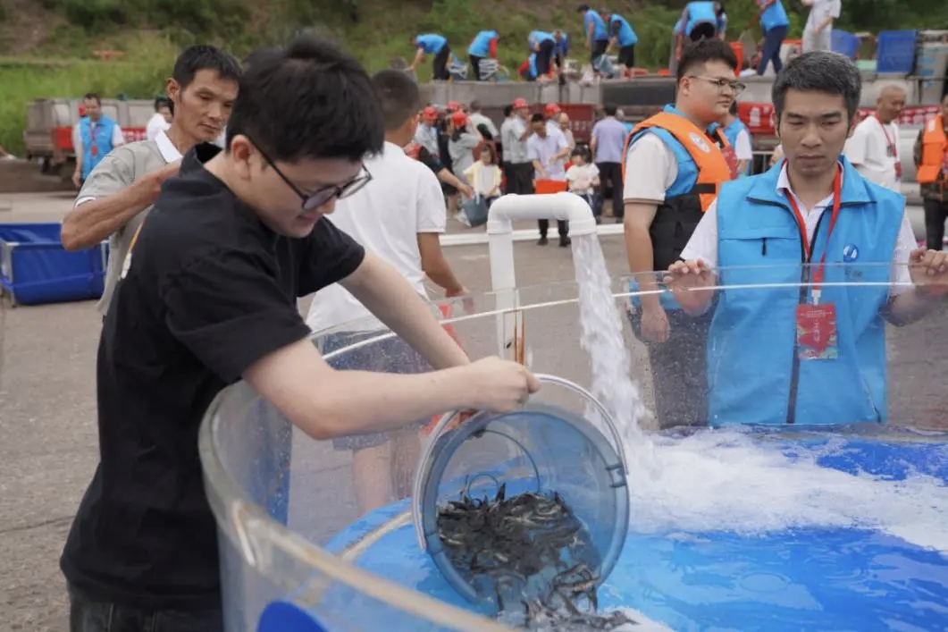#HomeGuardian
🐟 Recently, CTG released 620,000 Yangtze sturgeon, bred entirely in-house, into the Yangtze River at the Xiangjiaba Hydropower Station in Yibin, Sichuan Province. 🏞️
As a rare, endemic species of the Yangtze River, the Yangtze sturgeon plays a vital role in the
