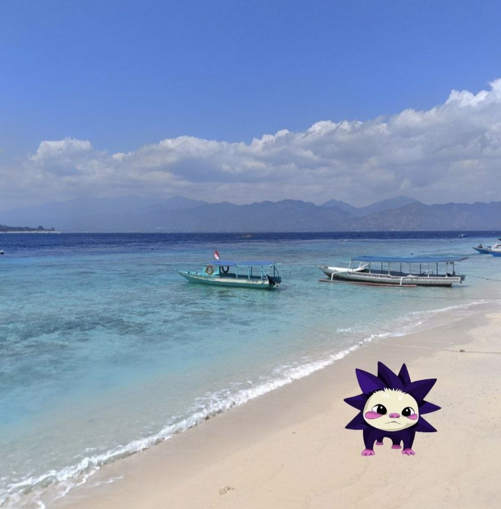 maslenaFM's tweet photo. 💜I went with CHOG to Bali, everyone loves traveling #MONAD #Chog #MonAnimal https://t.co/0FwSVcw8U8