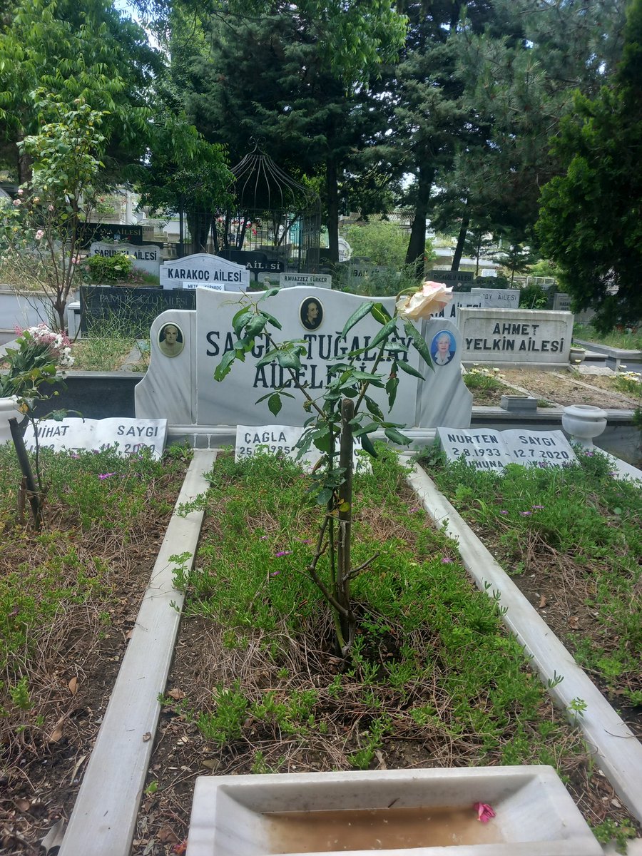 Ayla ⚖️ tweet media