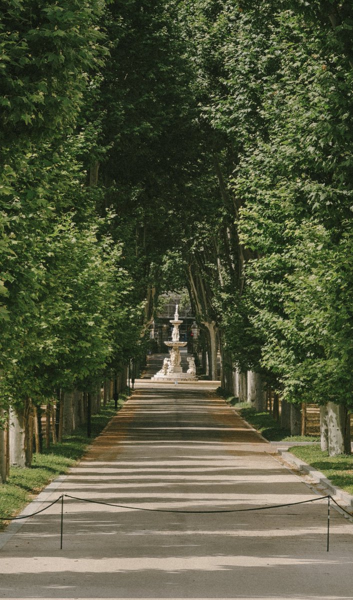 MrHalstead_'s tweet image. El Palacio Real desde los Jardines del Campo del Moro.