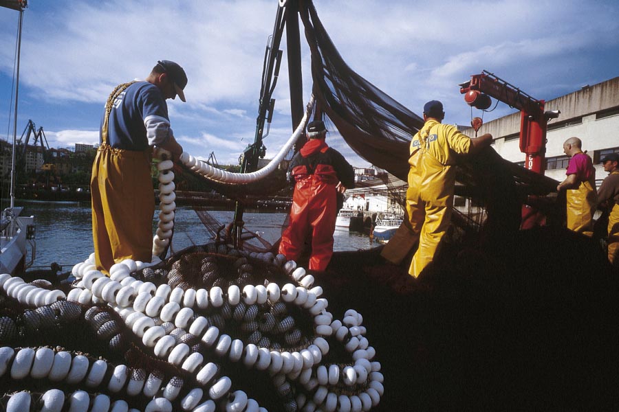 🐬 El Gobierno Vasco convocará ayudas para compensar las pérdidas derivadas de la paralización temporal de la actividad pesquera que realiza la flota vasca para reducir las capturas accidentales del delfín común y otros cetáceos en el Golfo de  Bizkaia.

🔗irekia.euskadi.eus/es/news/102575
