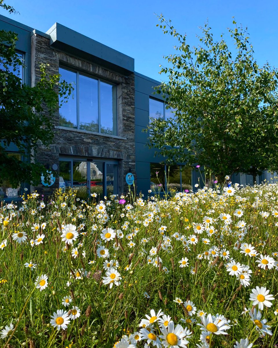 Pure yoghurt goodness, made right here in West Cork on Alan &amp; Valerie Kingston's Farm ❤️

#GlenilenFarm #PureYoghurtGoodness #MadeInWestCork #IrishOwned