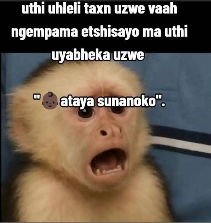 Sengamane ngboshwe. Ziyahlupha lezinto ezingahlawuliwe enizithola ngama back shots