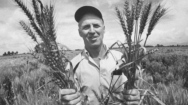 Iván Fernández Amil tweet media