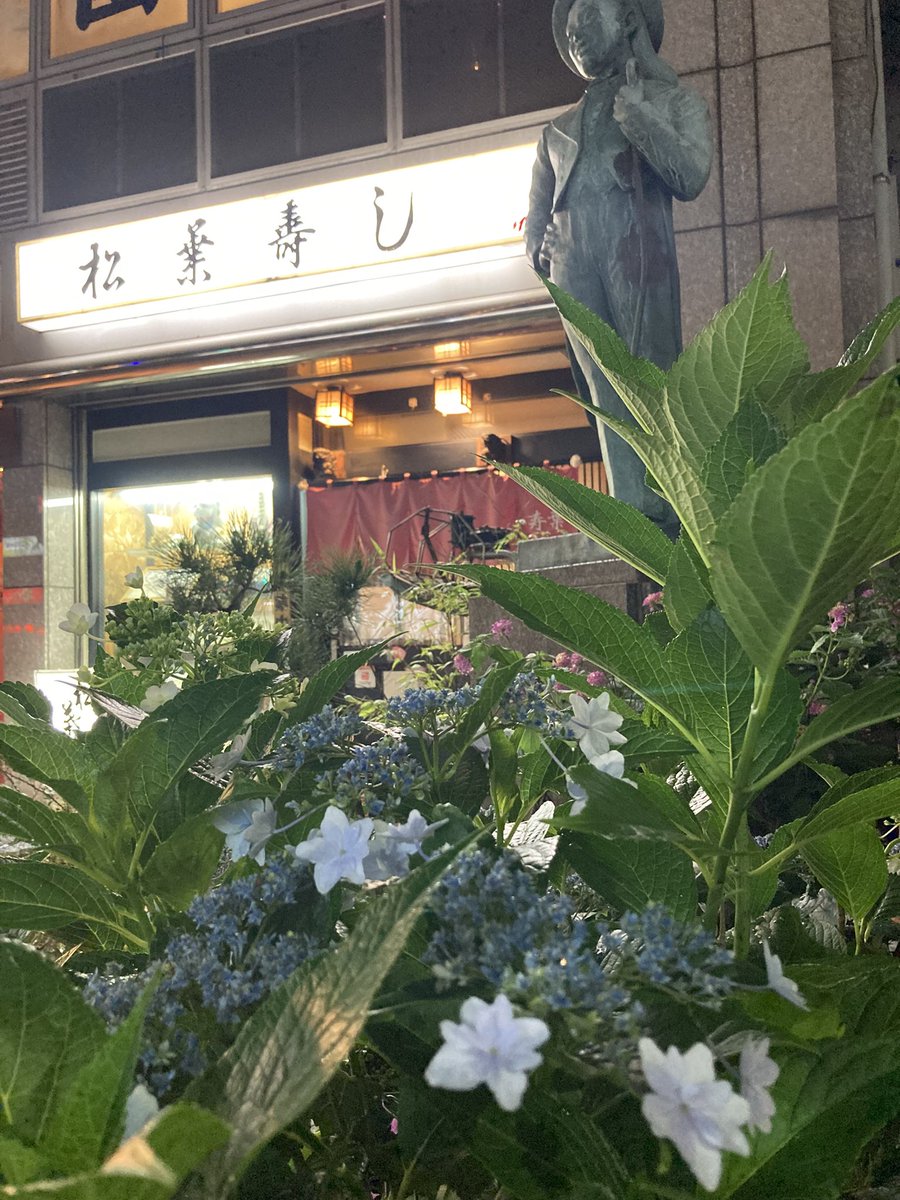 ooyakearika's tweet photo. 帰宅途中にガクアジサイを発見。美空ひばりさんの銅像とマッチ。
梅雨入りはメンタルも落ちるけど雨を楽しめる時です。今季はピニ傘やめて雨傘を楽しもうかな♪ https://t.co/zJ54rps17Y