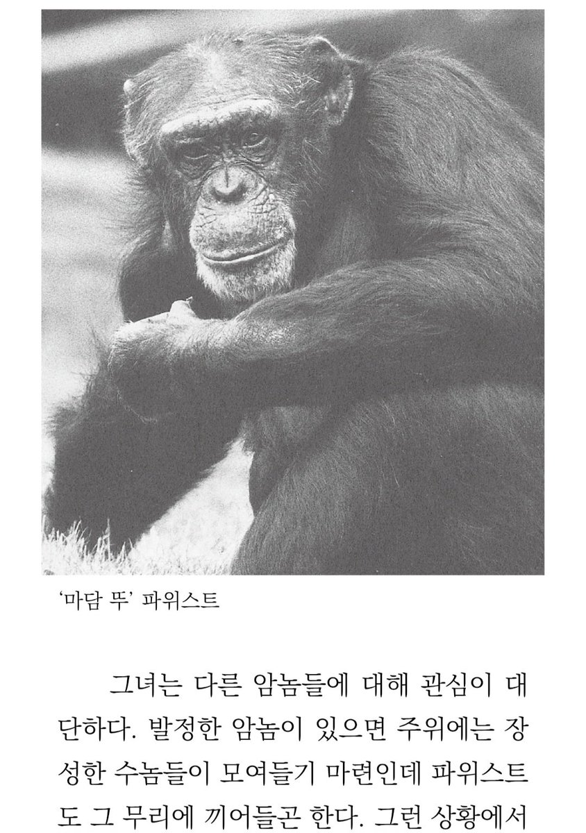 이 침팬지 특징이 암컷 침팬지에게 구애도 하는 동시에/암컷들이 수컷에게 원치않은 구애를 받을 때 적극적으로 도와주지만/암컷집단과 수컷집단이 싸울 땐 수컷 집단 편을 듦/하지만 수컷집단과 짝짓기하지않음. 저도 궁금하네요 트랜스젠더일까 부치일까