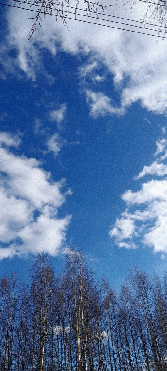 OfMemory_Art's tweet photo. #photo #NaturePhotography #NatureBeauty #photography #sky #outofmemory https://t.co/TUuXliuYx6