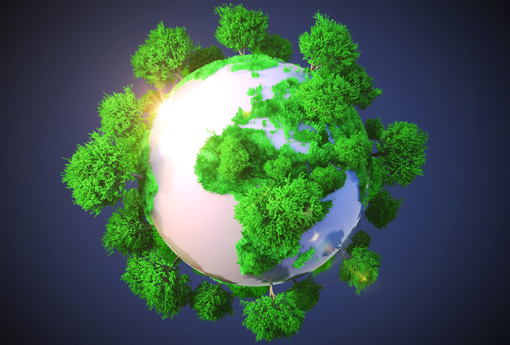 CSIC Divulga tweet media