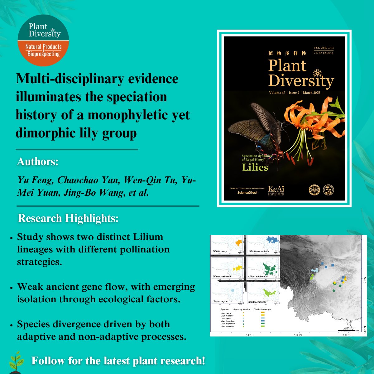 PD_NPB_Journals's tweet image. 🌱 Species boundaries in Lilium are evolving!
 Discover how climate shifts, local adaptation, and gene flow are reshaping its biodiversity puzzle.🧬🌍
Dive into the latest findings in Journal of Plant Diversity sciencedirect.com/science/articl…
#GeneFlow #PlantScience #BiodiversityResearch