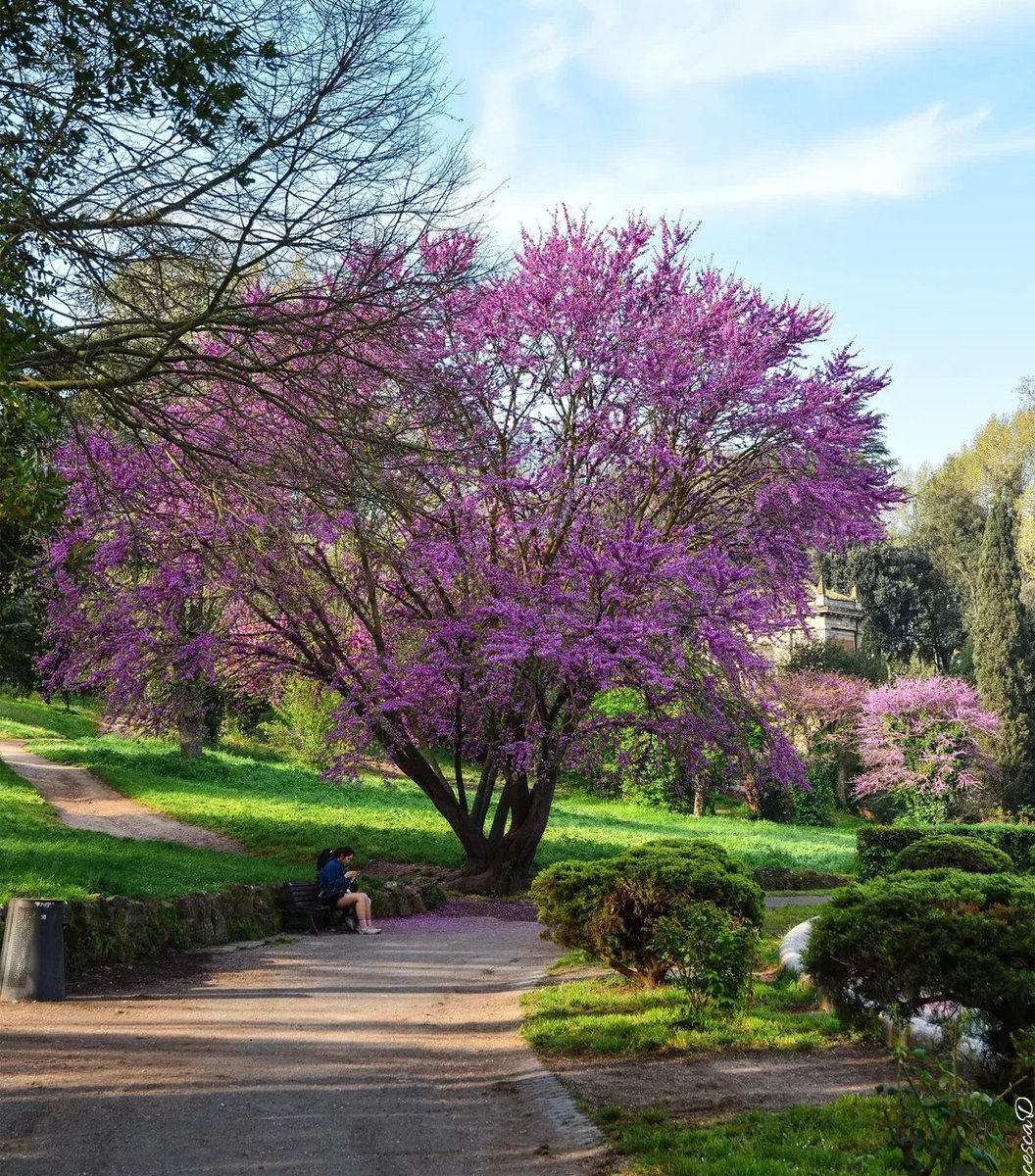 Francesca (@isolearan1) on Twitter photo Buon pomeriggio Villa Pamphili #roma ph francescasonio
<a href="/Mustapha1508/">Mustapha Hussein- Musty</a> <a href="/ManuelaFiorill5/">Manuela Fiorillo</a> <a href="/SynodBooks/">Ronald Manuel Rivera</a> <a href="/LorenzoGuerini5/">Lorenzo</a> <a href="/Luigina__16/">Luigina___</a> <a href="/exPeter160116/">exPeter (per gli amici Pier)</a> <a href="/caputmundiHeidi/">Heidi</a> <a href="/Ero_Clau/">Claudia</a> <a href="/Florian_Vienna/">Florian π΅π±π―</a> <a href="/ginluca75/">Gianluca</a> <a href="/gori_magnani/">Gori Magnani</a> <a href="/guidovecchione/">guido vecchione</a> <a href="/Monica09058845/">Monica πβοΈππππ§</a> <a href="/SandroBrizzola4/">Sandro Brizzolara</a> <a href="/jetdom/">RANDY</a> Buon pomeriggio Villa Pamphili #roma ph francescasonio
<a href="/Mustapha1508/">Mustapha Hussein- Musty</a> <a href="/ManuelaFiorill5/">Manuela Fiorillo</a> <a href="/SynodBooks/">Ronald Manuel Rivera</a> <a href="/LorenzoGuerini5/">Lorenzo</a> <a href="/Luigina__16/">Luigina___</a> <a href="/exPeter160116/">exPeter (per gli amici Pier)</a> <a href="/caputmundiHeidi/">Heidi</a> <a href="/Ero_Clau/">Claudia</a> <a href="/Florian_Vienna/">Florian π΅π±π―</a> <a href="/ginluca75/">Gianluca</a> <a href="/gori_magnani/">Gori Magnani</a> <a href="/guidovecchione/">guido vecchione</a> <a href="/Monica09058845/">Monica πβοΈππππ§</a> <a href="/SandroBrizzola4/">Sandro Brizzolara</a> <a href="/jetdom/">RANDY</a>