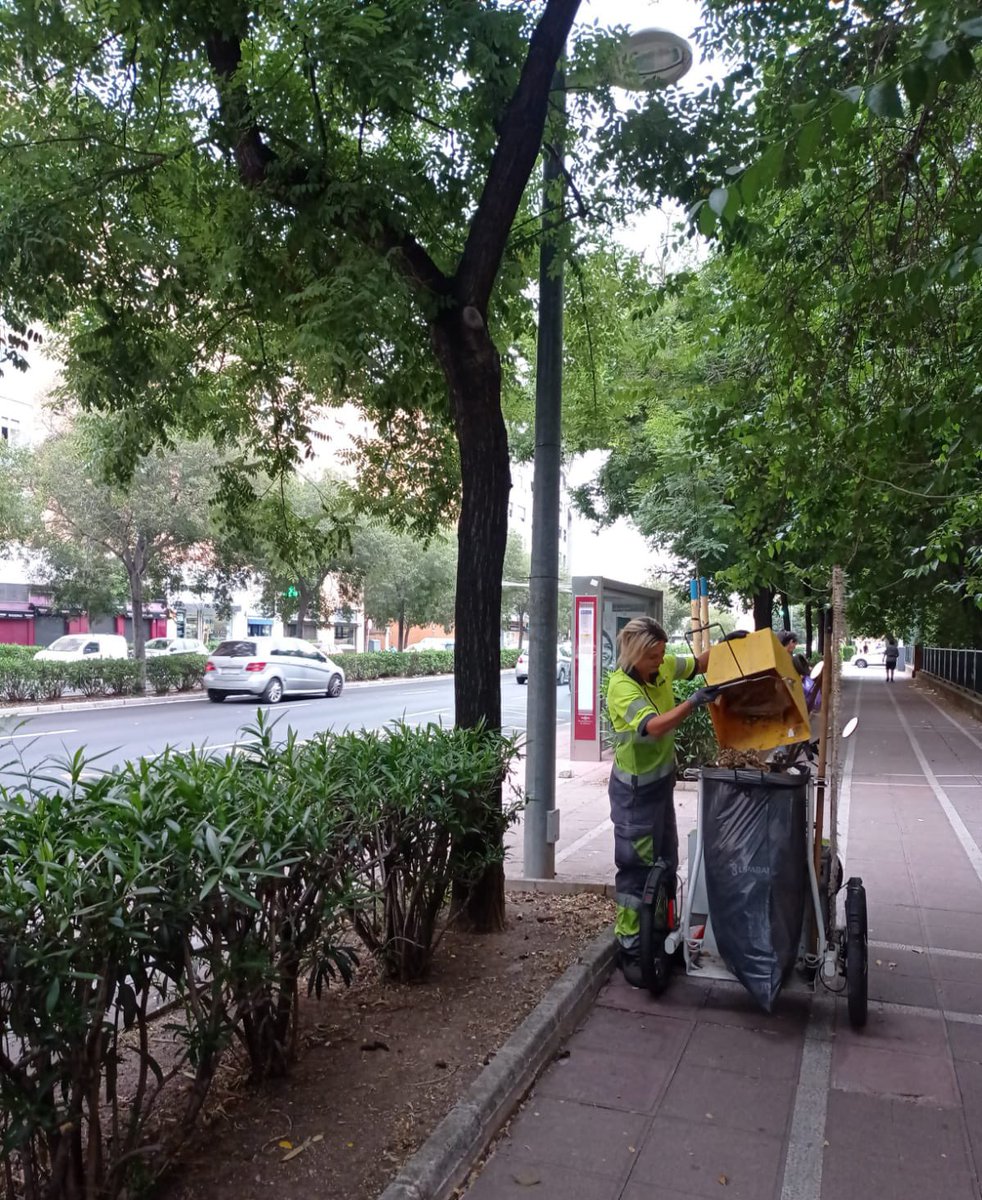 Lipasam (@lipasamsevilla) on Twitter photo Trabajamos la limpieza viaria cada día para mantener las calles de #Sevilla cuidadas
Entre todos, construimos un entorno más limpio🌿
#cuidemosSevilla
<a href="/Ayto_Sevilla/">Ayuntamiento de Sevilla</a> <a href="/eveliarincon/">Evelia Rincón</a> Trabajamos la limpieza viaria cada día para mantener las calles de #Sevilla cuidadas
Entre todos, construimos un entorno más limpio🌿
#cuidemosSevilla
<a href="/Ayto_Sevilla/">Ayuntamiento de Sevilla</a> <a href="/eveliarincon/">Evelia Rincón</a>
