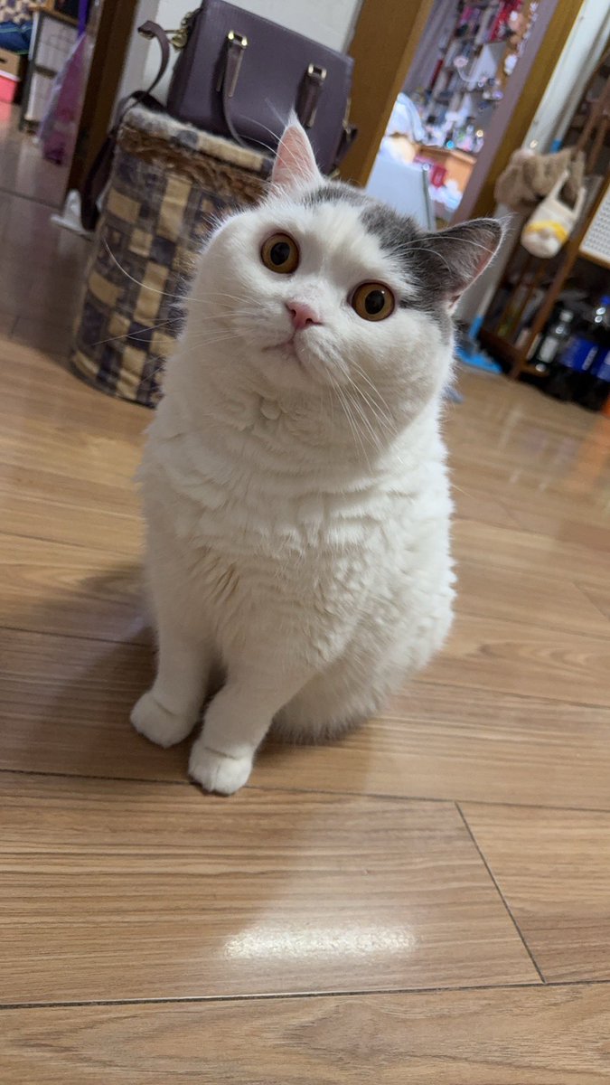 黄推福利内容 - 余榆鱼(沉迷捏脸)的精彩图片 福利姬余榆鱼(沉迷捏脸)分享的黄推图片2 - 网红私拍内容