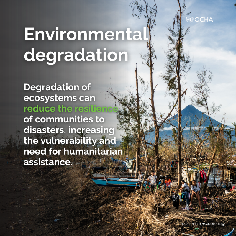 UNOCHA_ROSEA's tweet photo. ➖Drought and heat waves
➖Heavy rains and flooding

Many of today’s humanitarian crises are being influenced by environmental factors.

More people are being displaced, facing hunger or losing access to water due to environmental shocks.

More from @UNEP &amp; @EnvironmentOcha