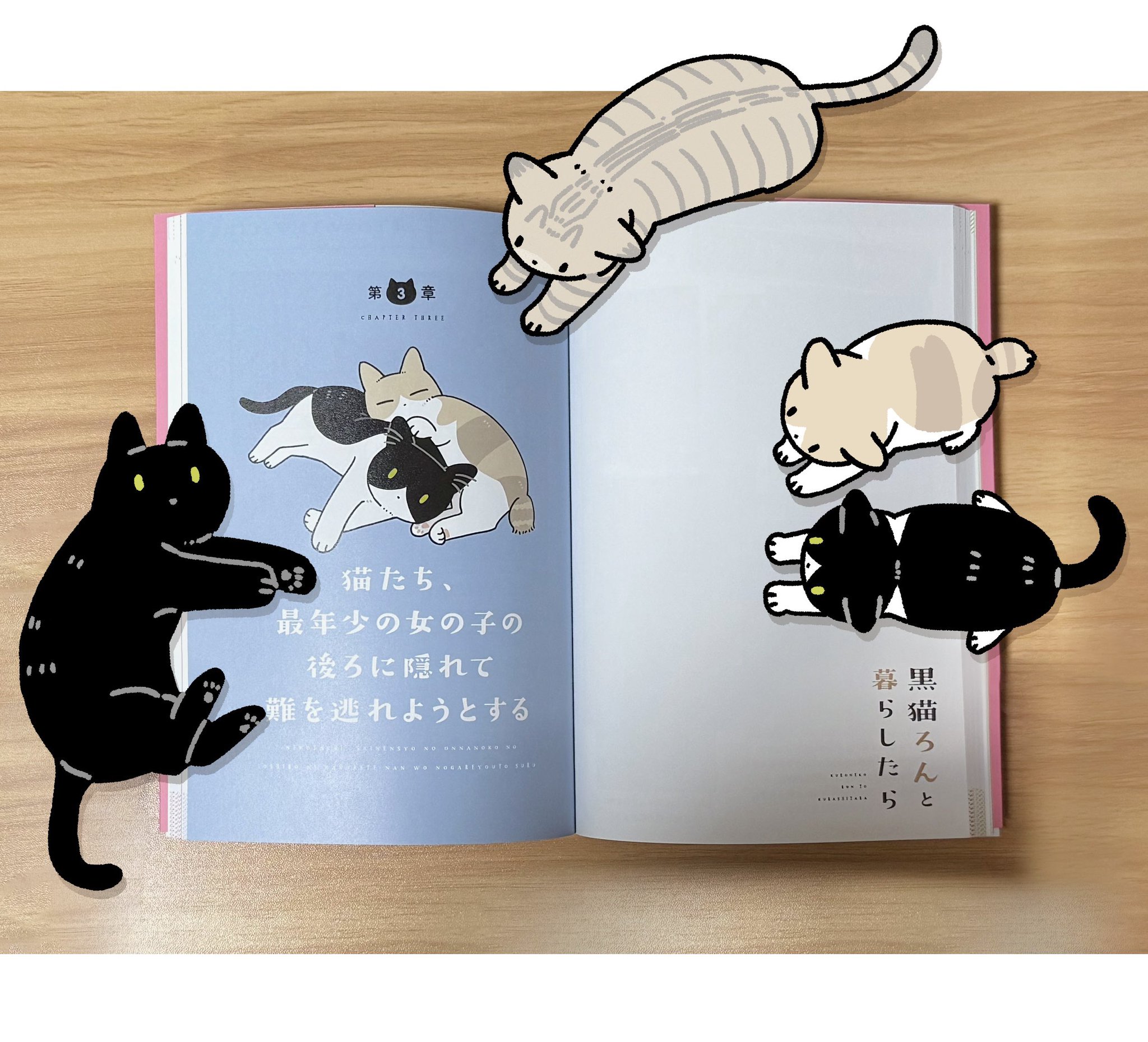 黒猫 GtFJ5qObkAAOc5u.jpg:large