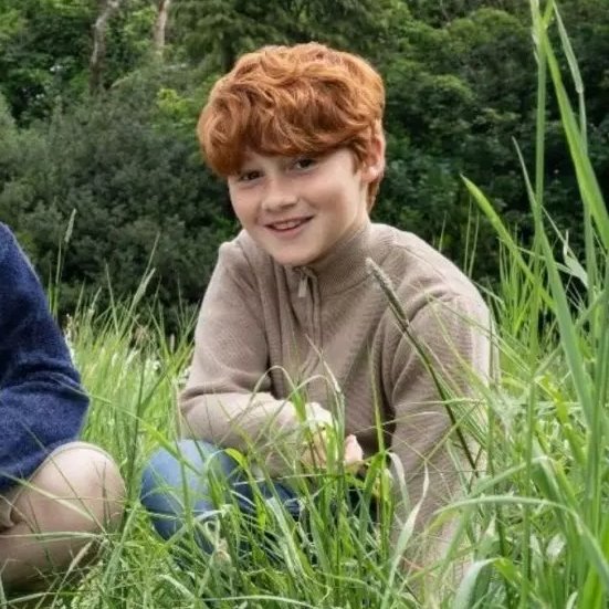 🐕🦦 tweet media