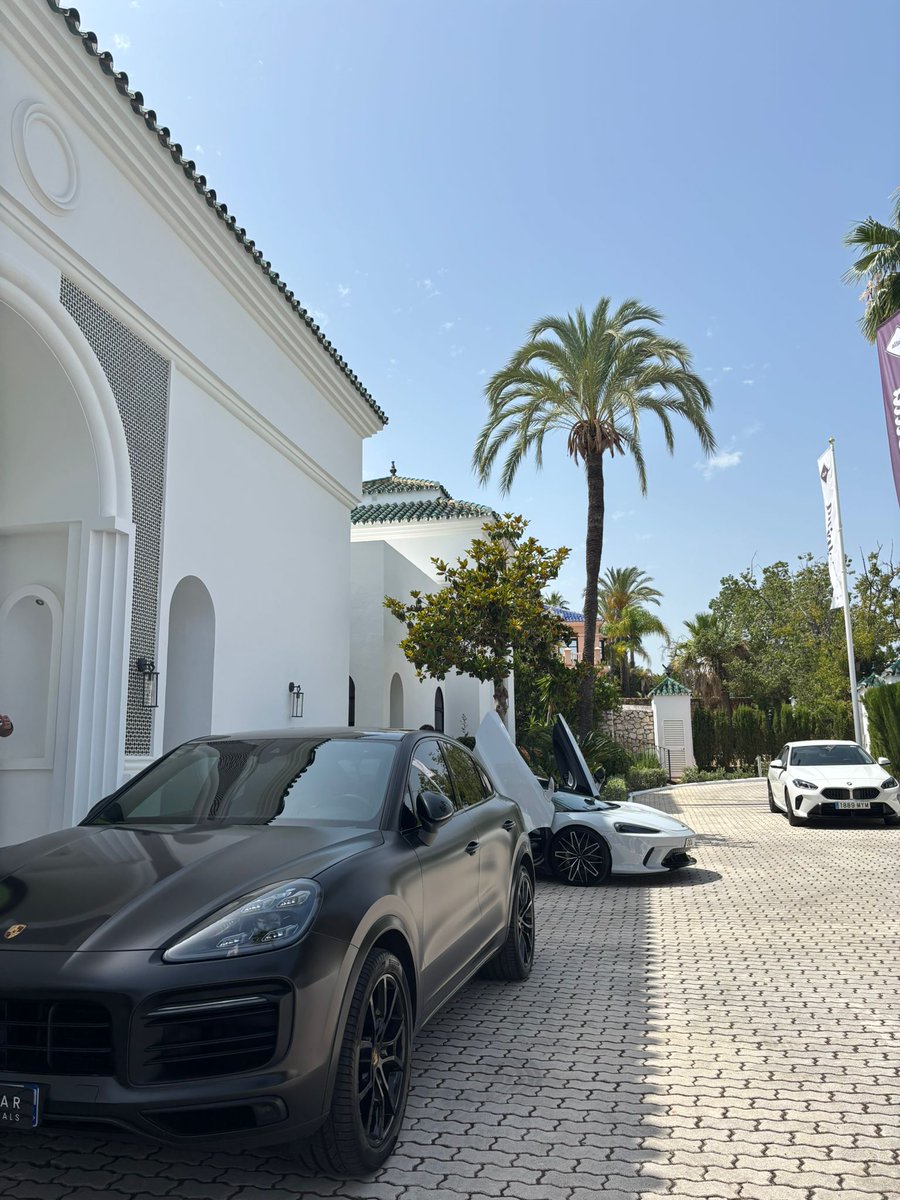 Warren Mulvey tweet media